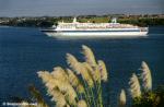 ID 1549 PACIFIC SKY (1984/46087grt/IMO 8024026, ex-SKY PRINCESS, FAIRSKY. Renamed SKY WONDER in 2006 then ATLANTIC STAR in 2009 after sale to Pullmantur Cruises of Spain. Renamed ANTIC. Demolished 2013....
